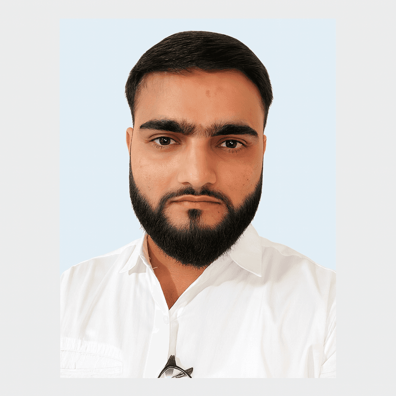 Developer